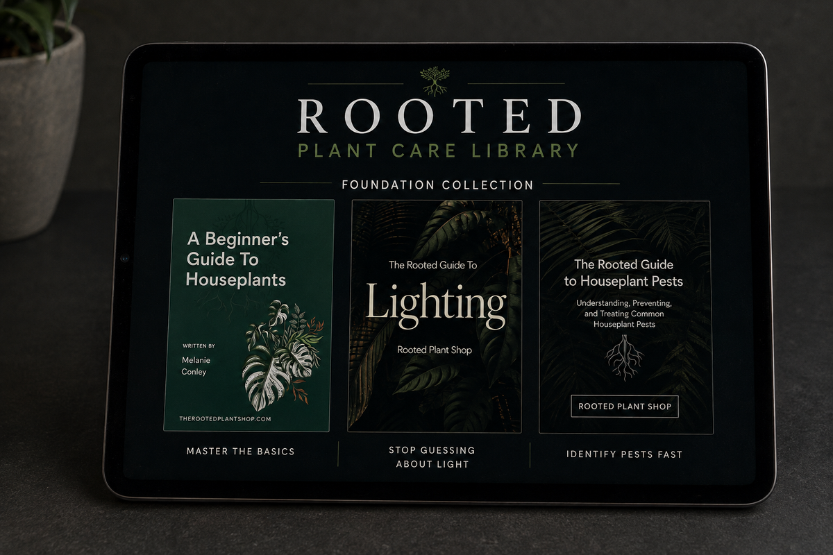The Foundations Collection