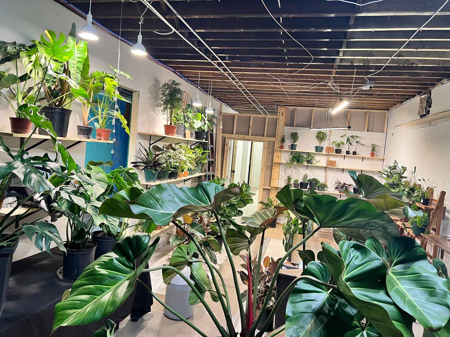Shop Visit