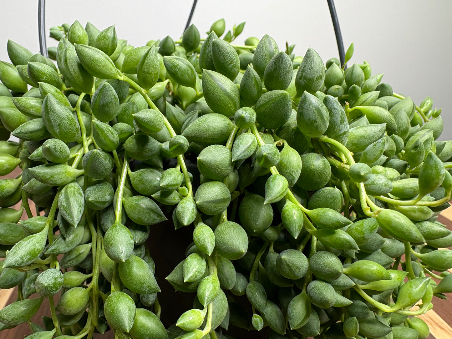 String of tears Basket