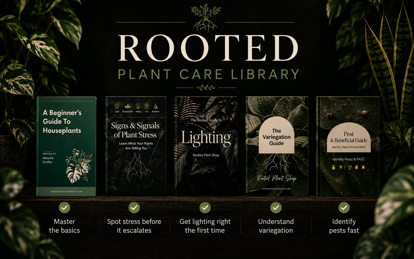 The Beginner’s Plant Care Library 5