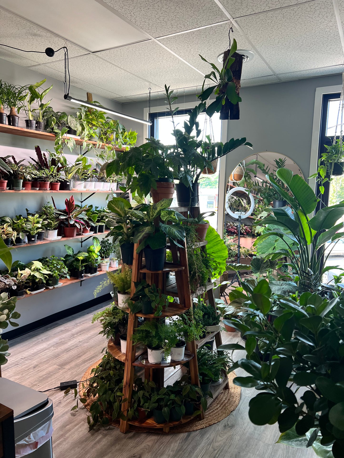 Shop Visit