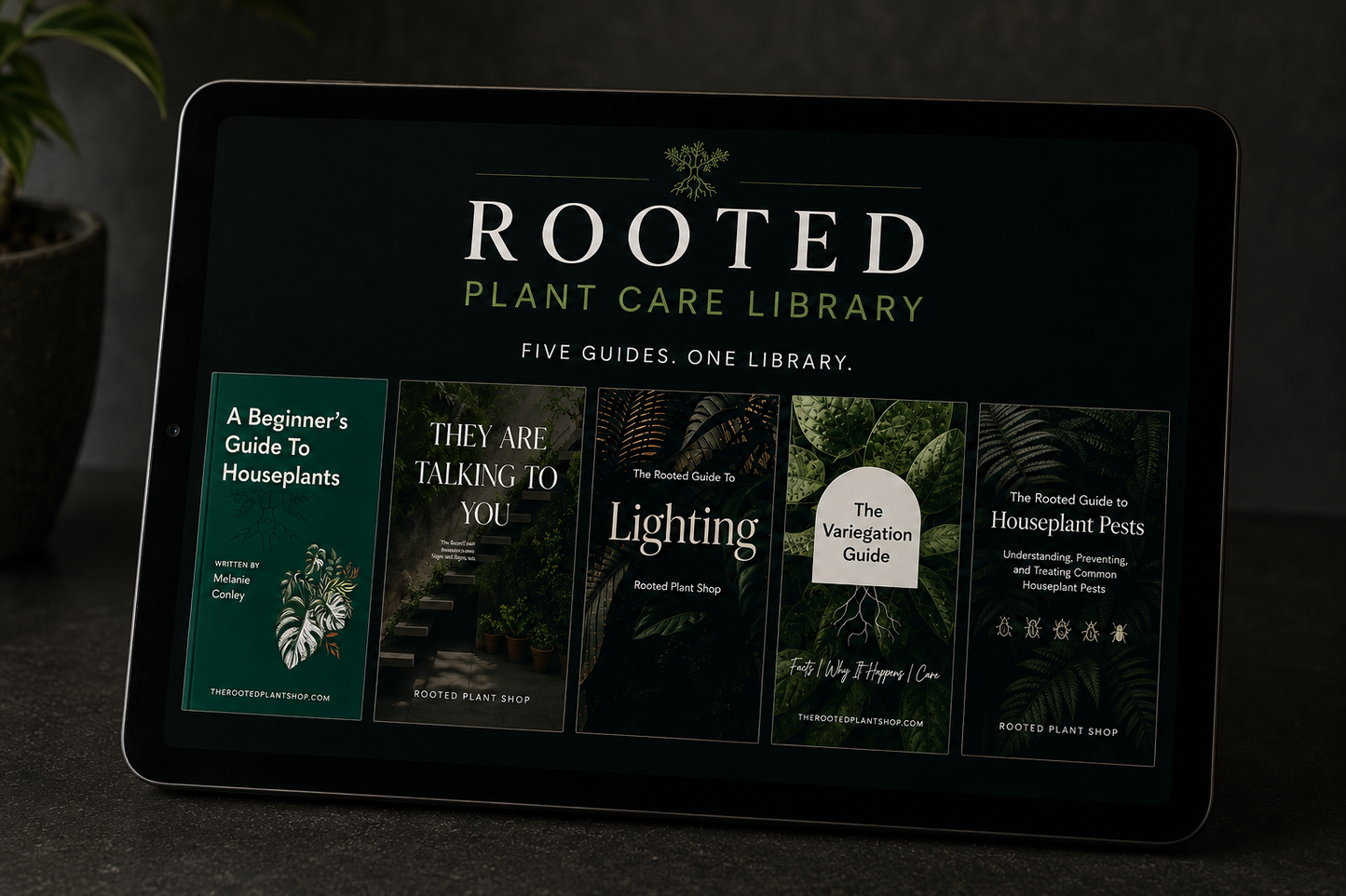 The Beginner’s Plant Care Library 5.