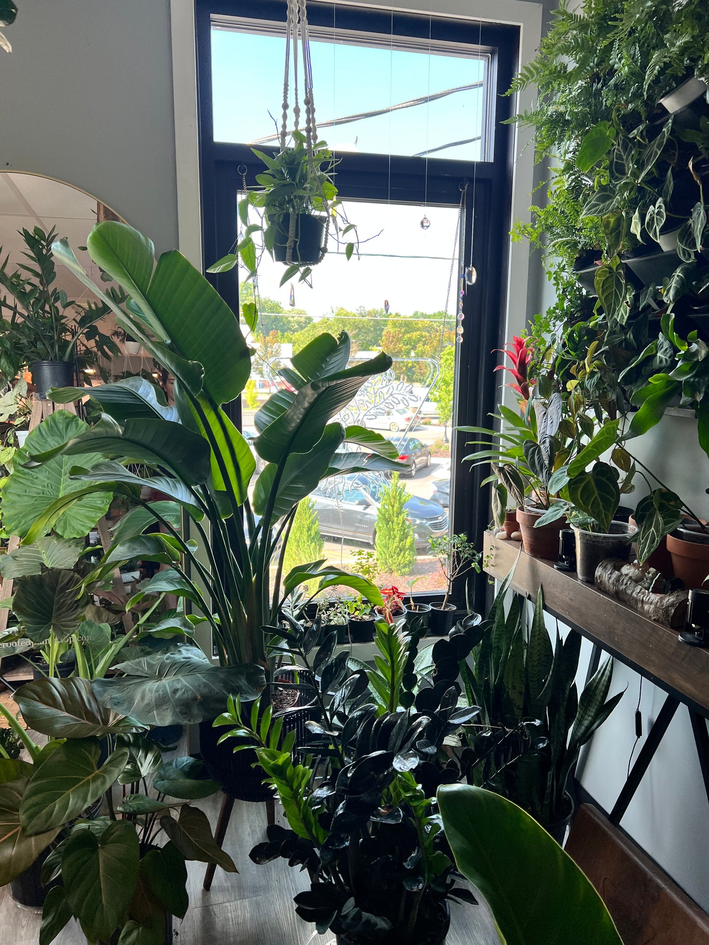 Shop Visit