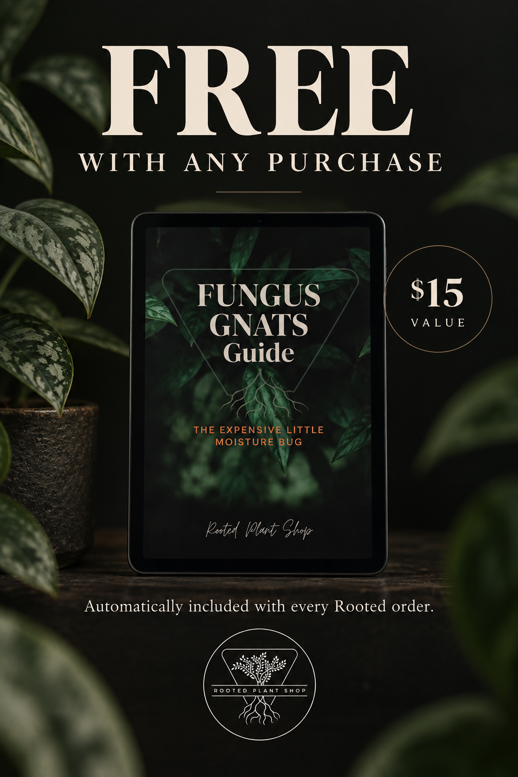 Fungus Gnat Guide