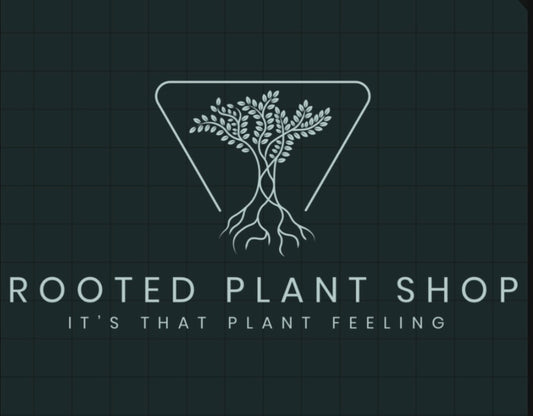 Cool Pack and Thermal bubble Wrap