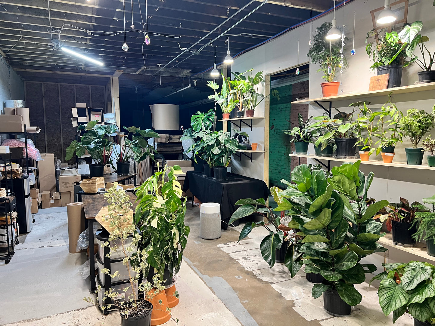 Shop Visit