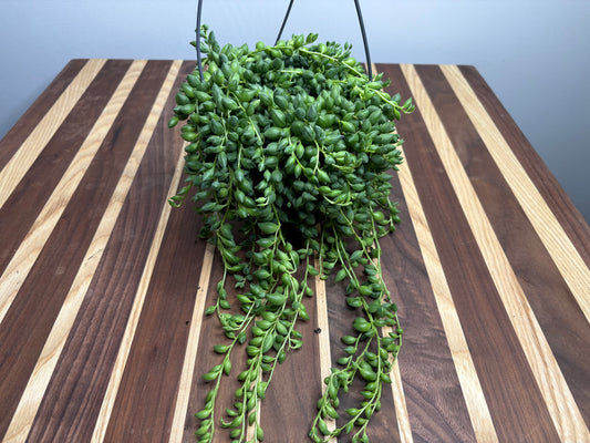 String of tears Basket