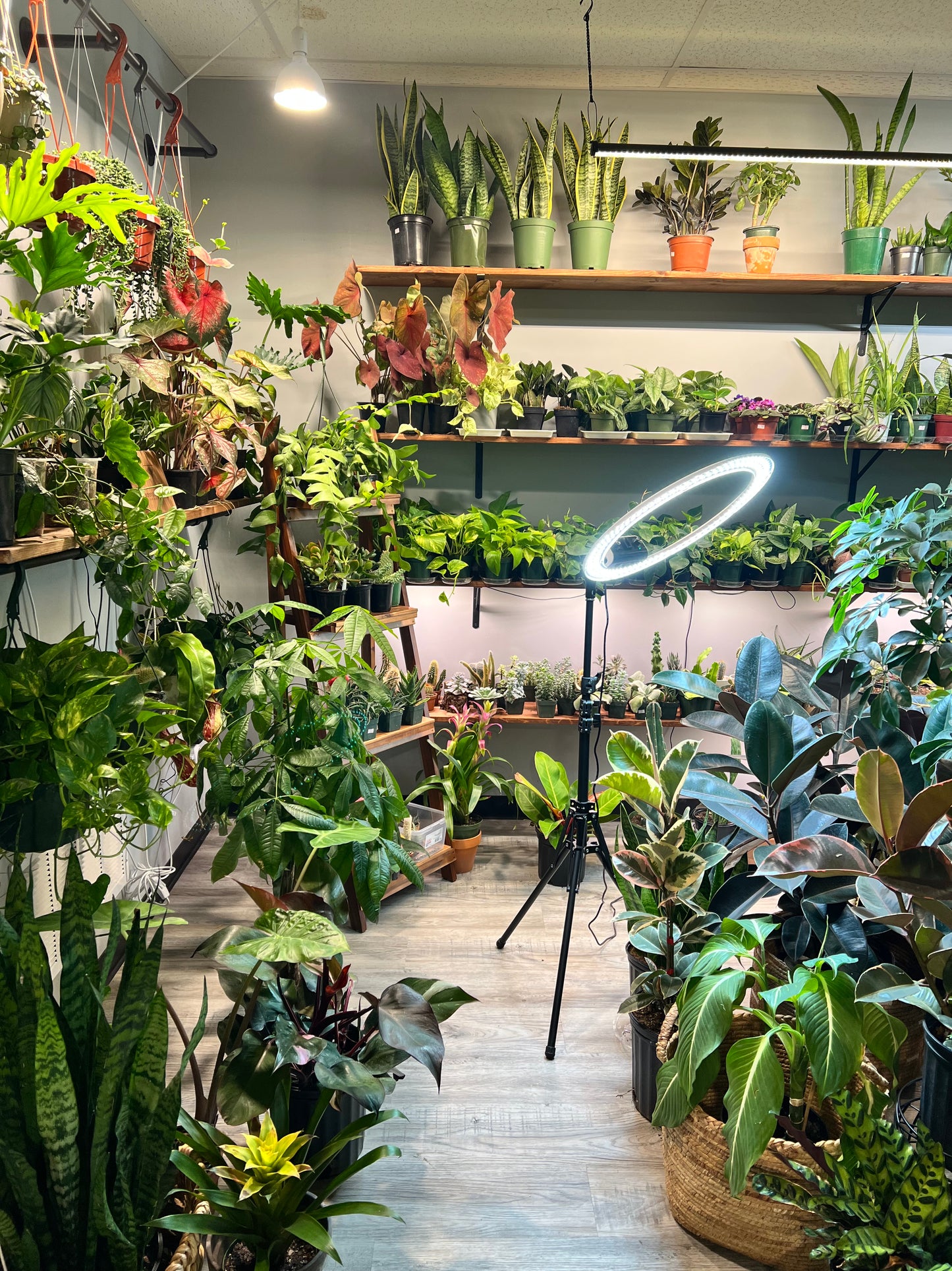Shop Visit