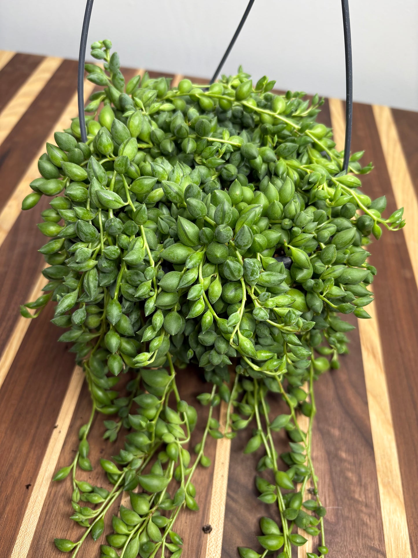 String of tears Basket