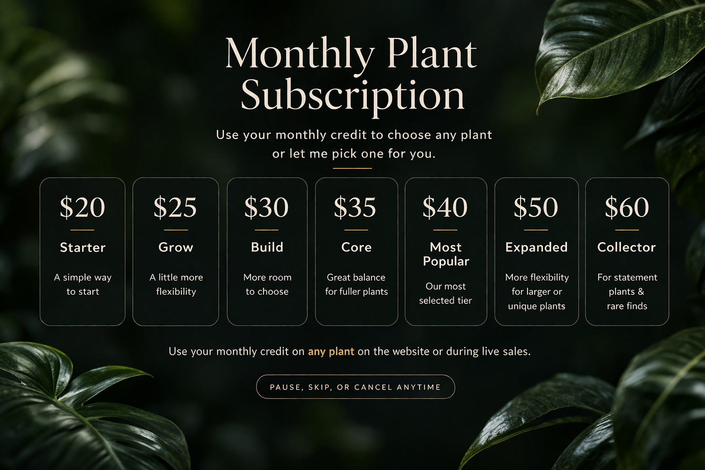 Monthly Plant Subscription-$35