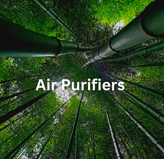 Air purification with plants