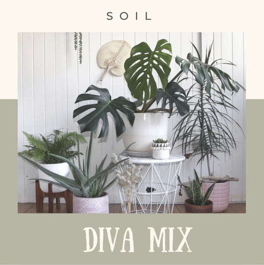 Diva Mix-medium