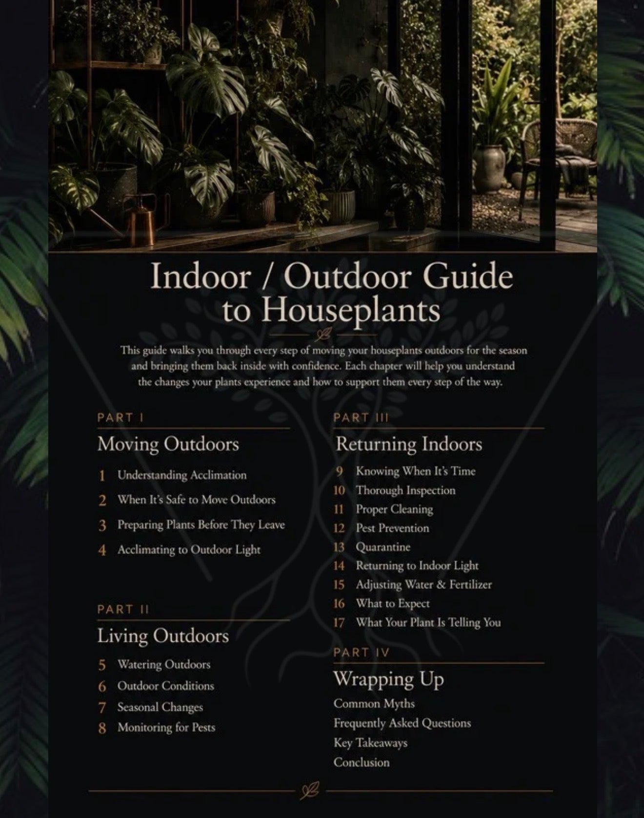 Indoor/Outdoor Guide to Houseplants