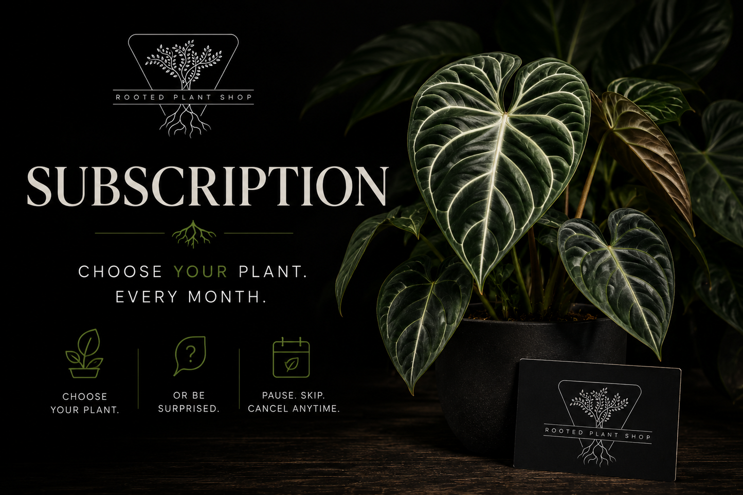 Monthly Plant Subscription $20