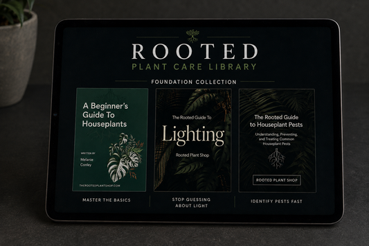 The Foundations Collection