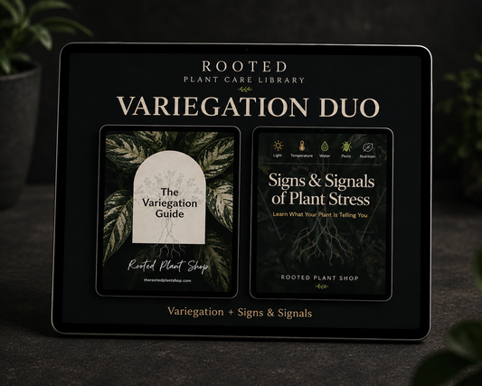 Variegated Signs Duo