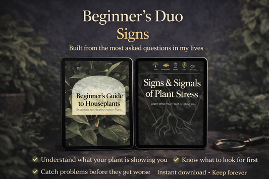 Beginner’s Duo Signs