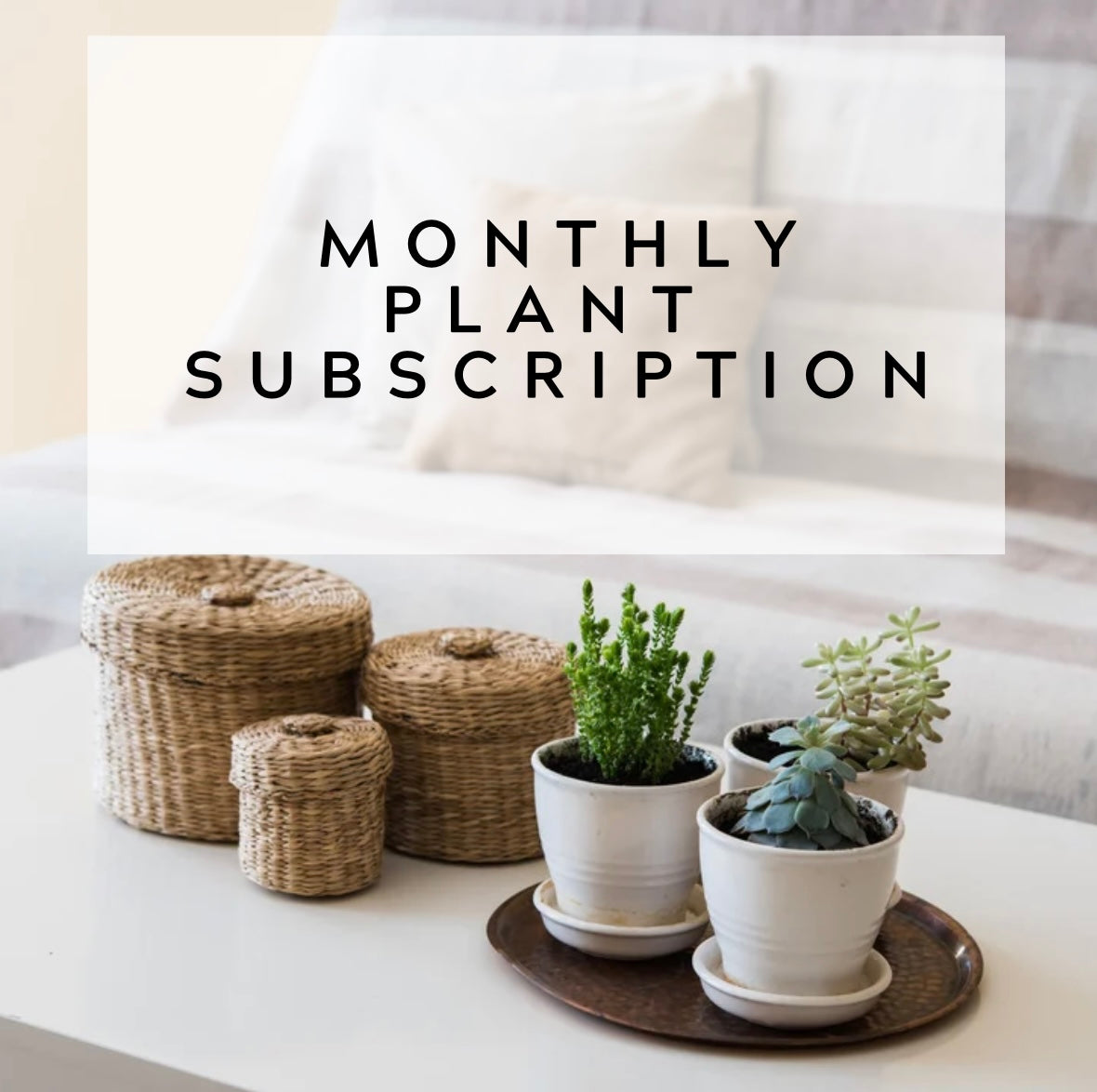 Plant monthly Subscription $100