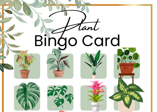 Plant Bingo 12/9