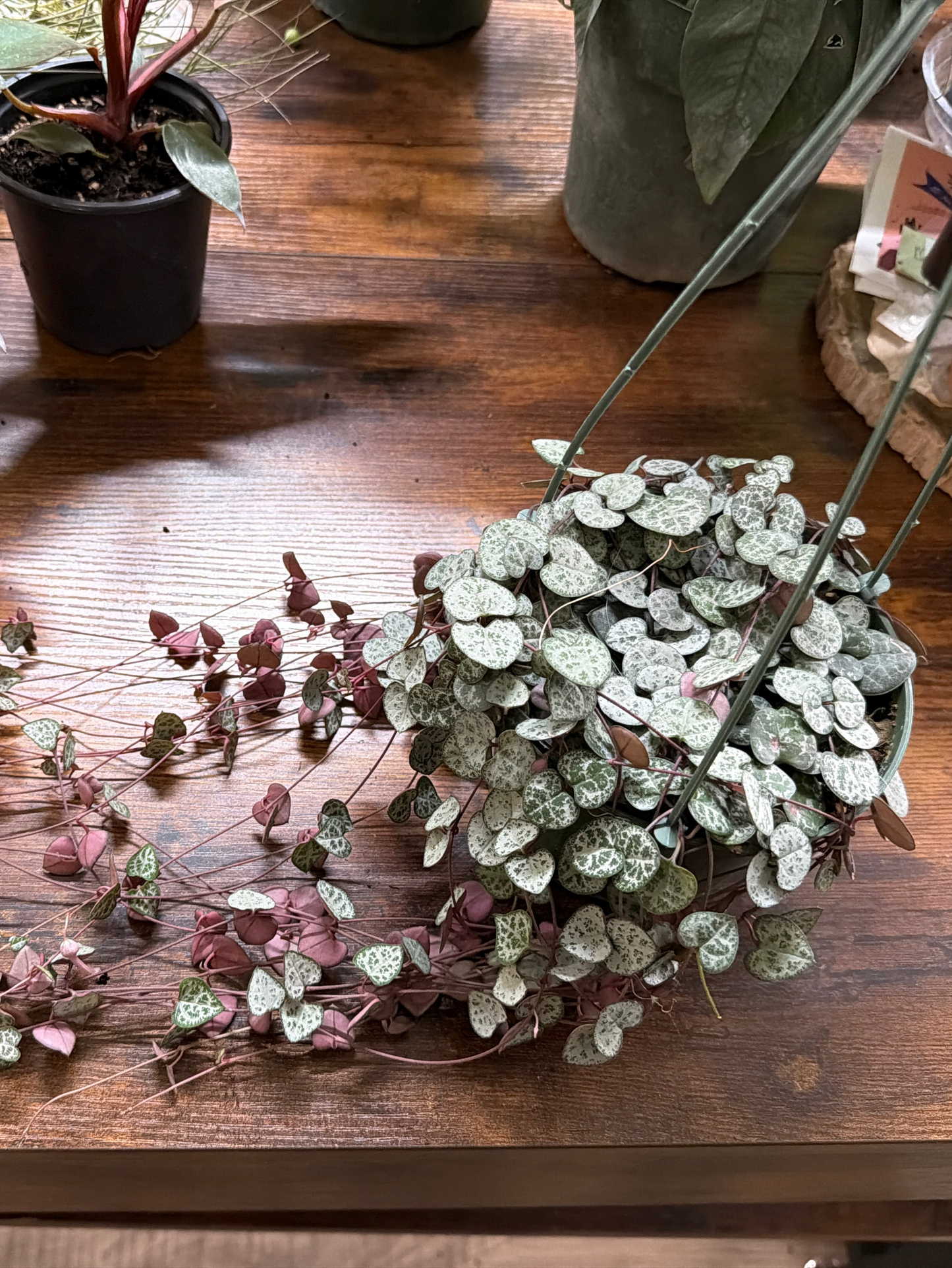 String of Hearts - Basket 6”