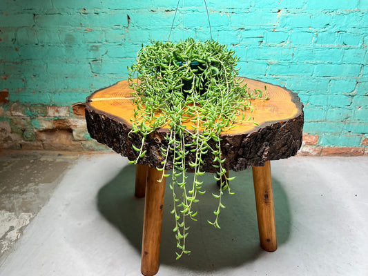 String of Bananas 6” Basket
