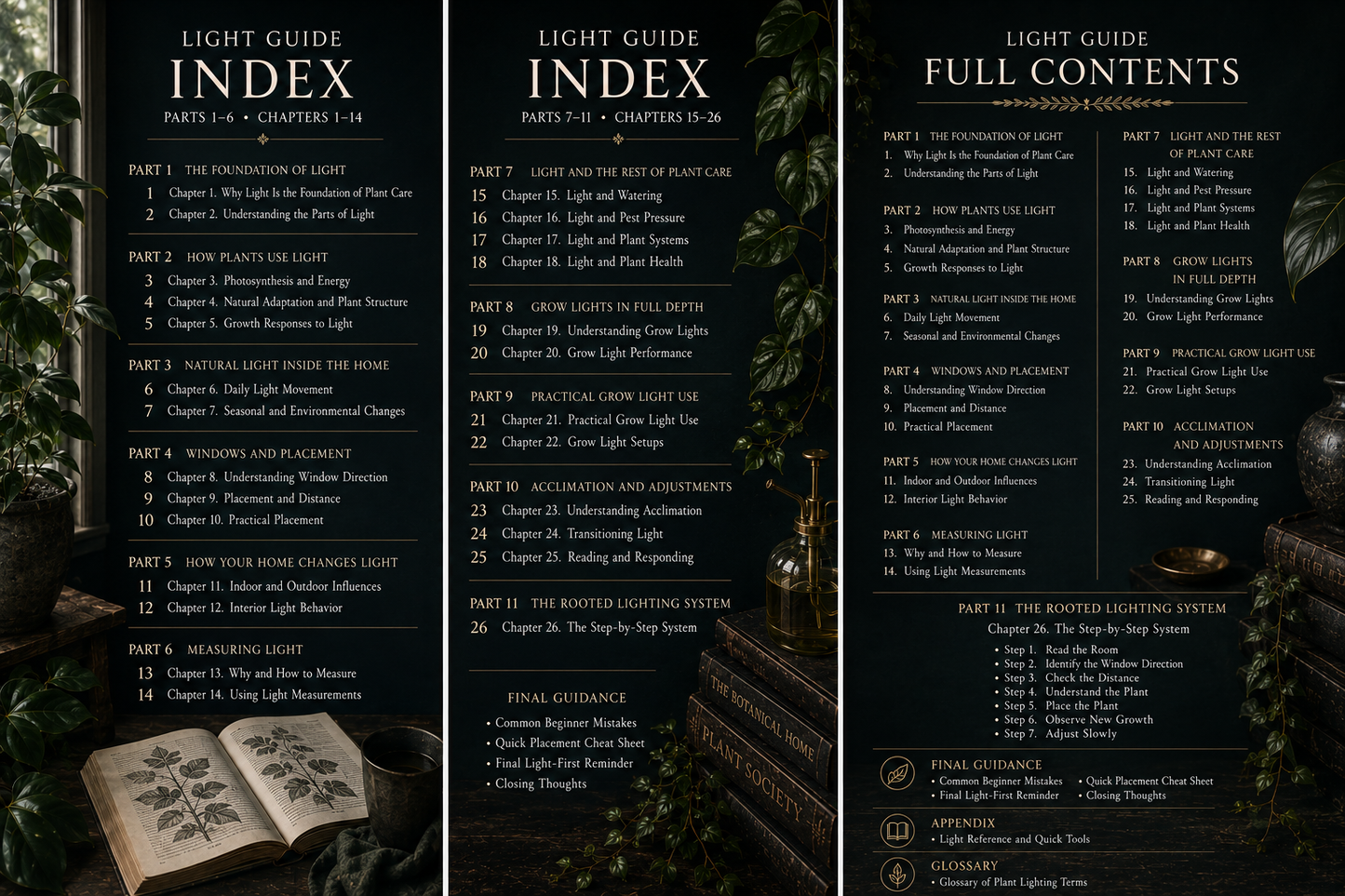 The Rooted Guide to Lighting