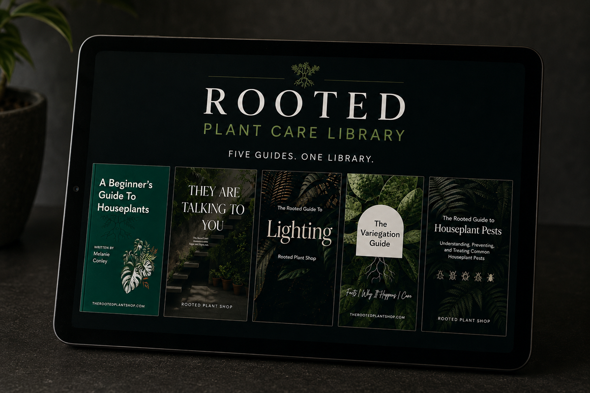 The Beginner’s Plant Care Library 5.