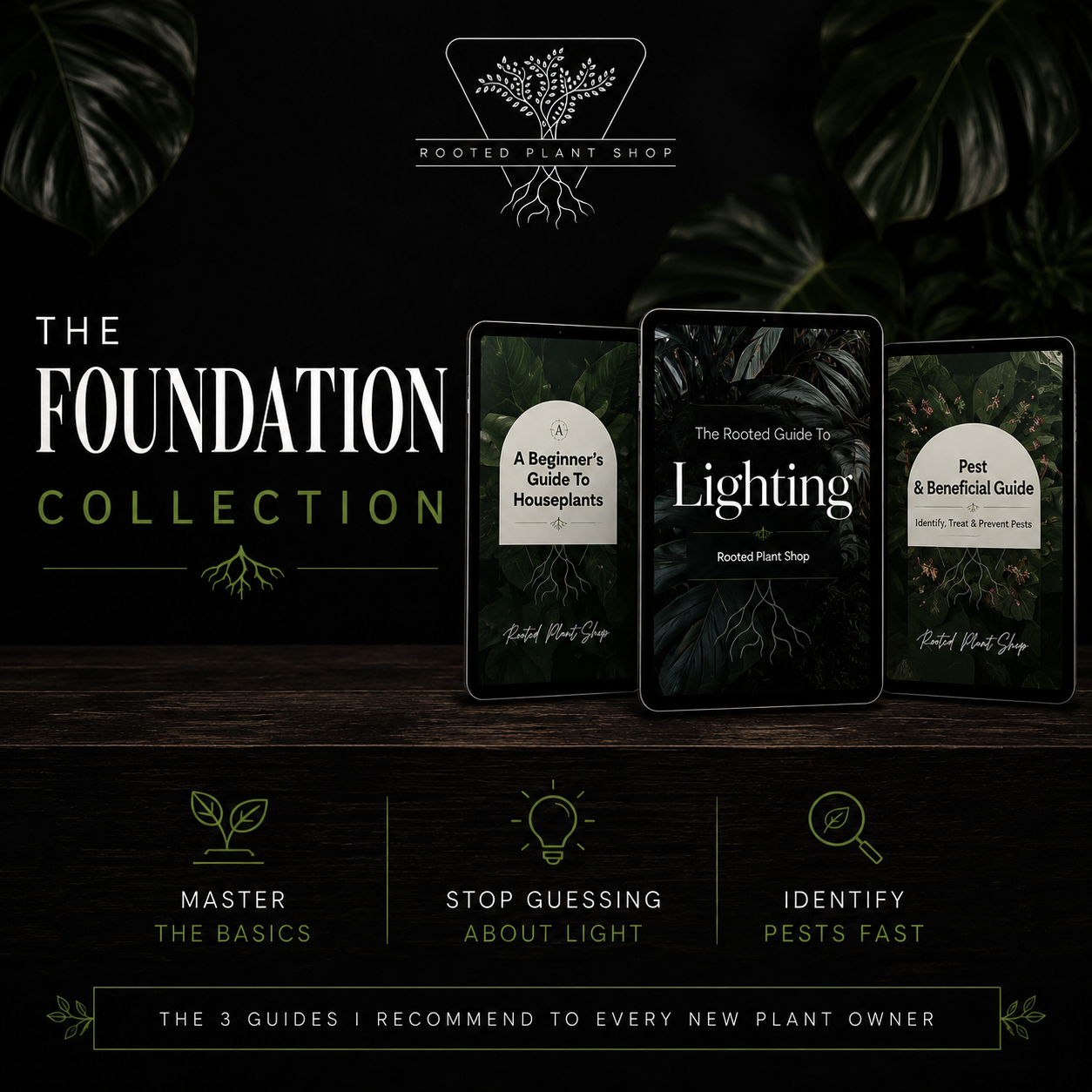 The Foundations Collection