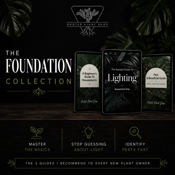 The Foundations Collection