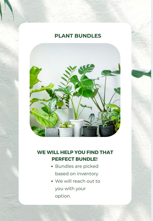 Upright bundle