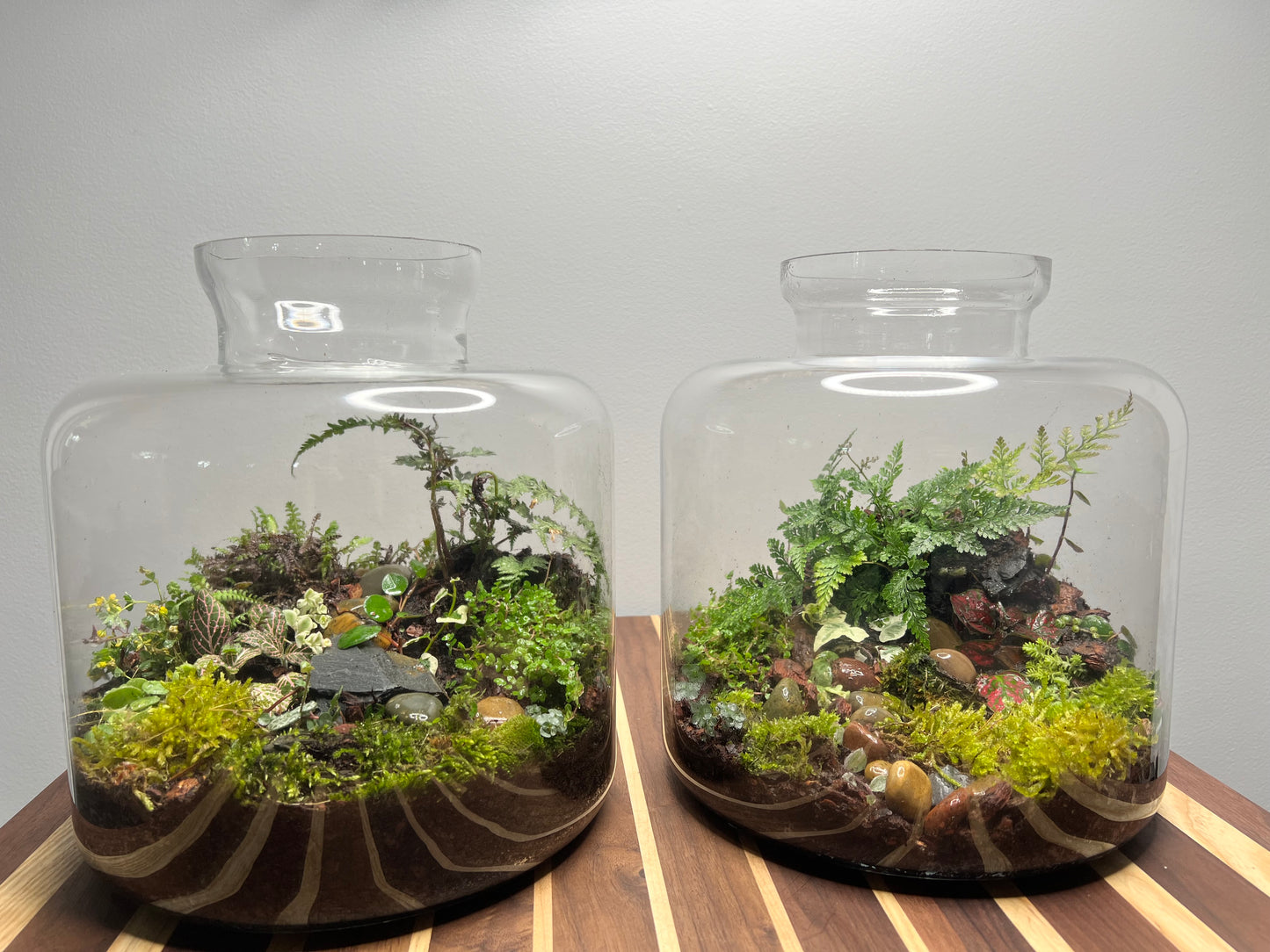 Terrarium build 14”