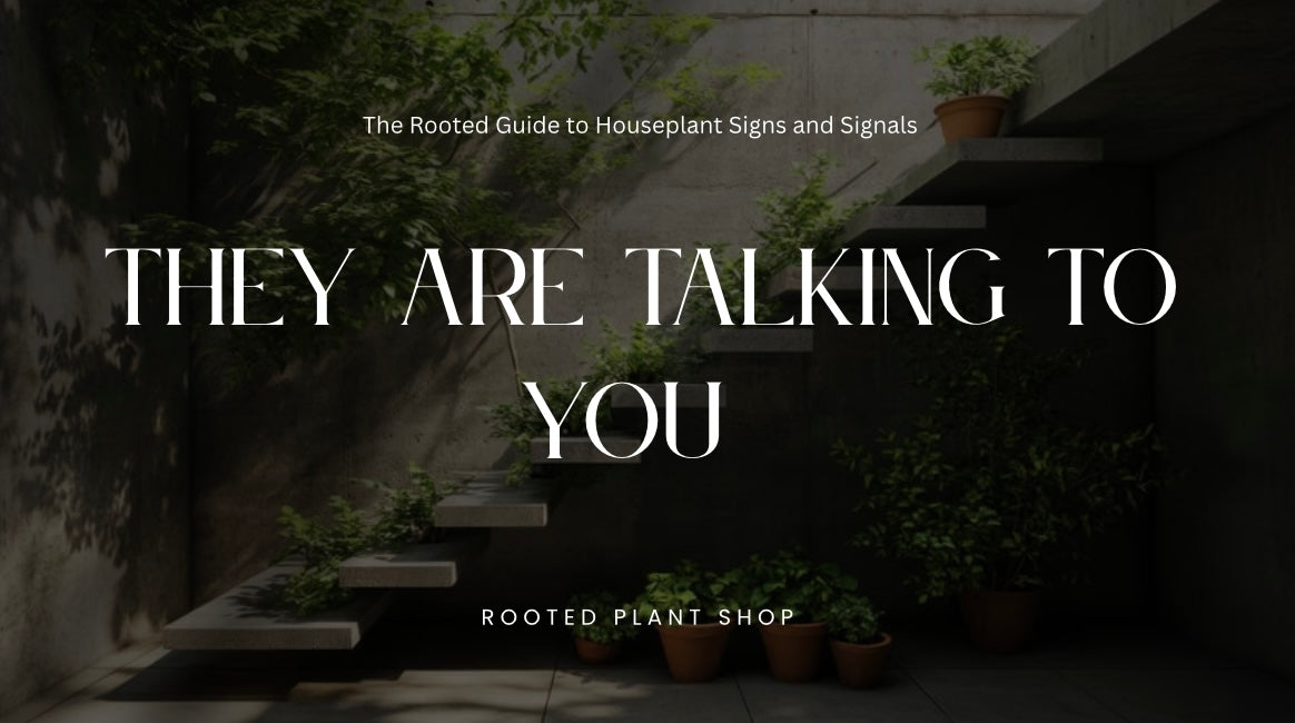 “They Are Talking To You” Signs & Signals