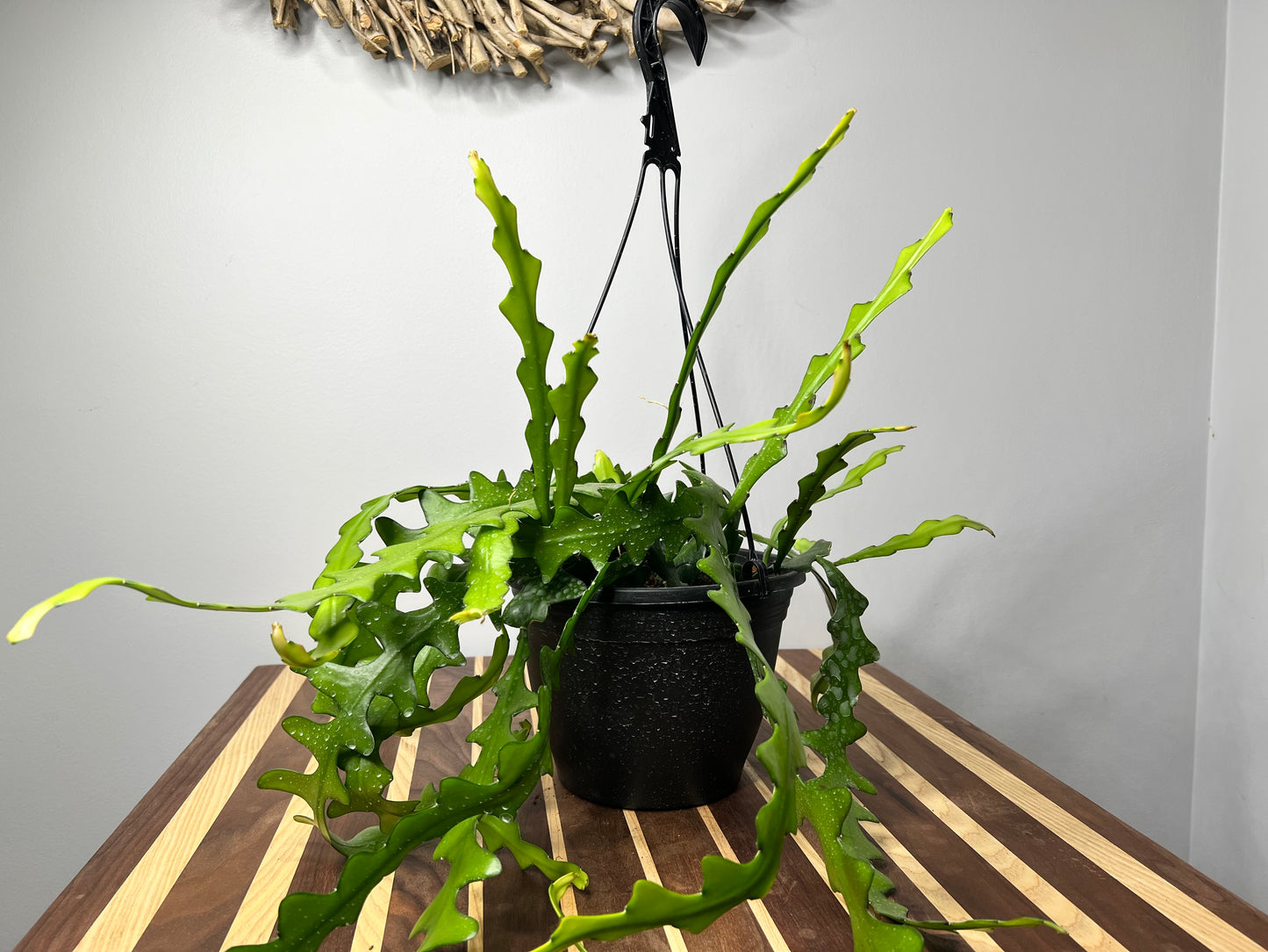 Ric Rac Cactus (fish bone) 8” basket