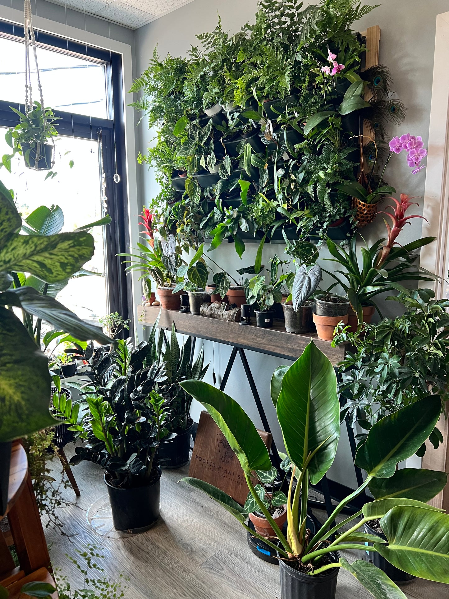 Shop Visit