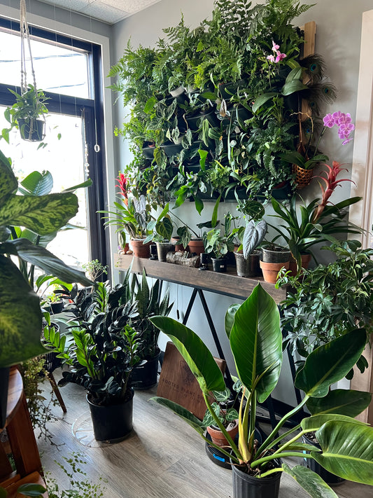 Shop Visit