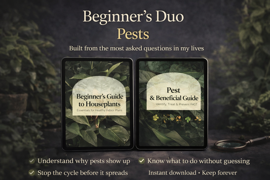 Beginner’s Duo Pests