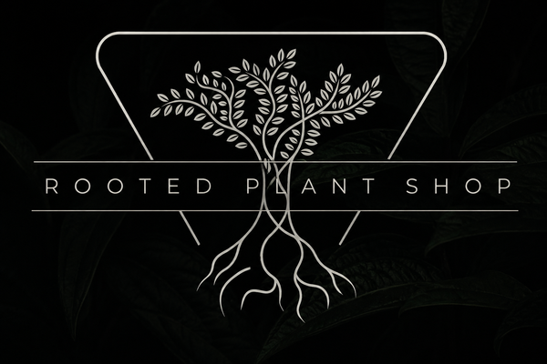 The Rooted Plant Shop 