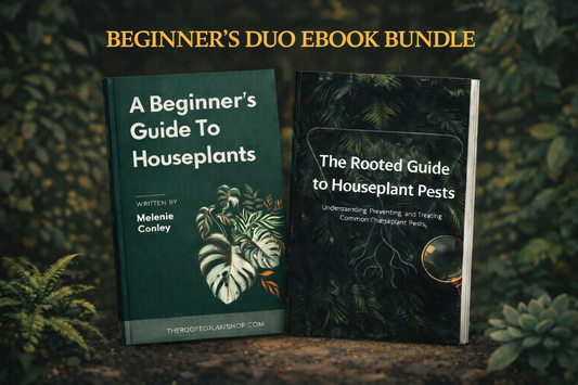 Beginner’s Duo Ebook Bundle