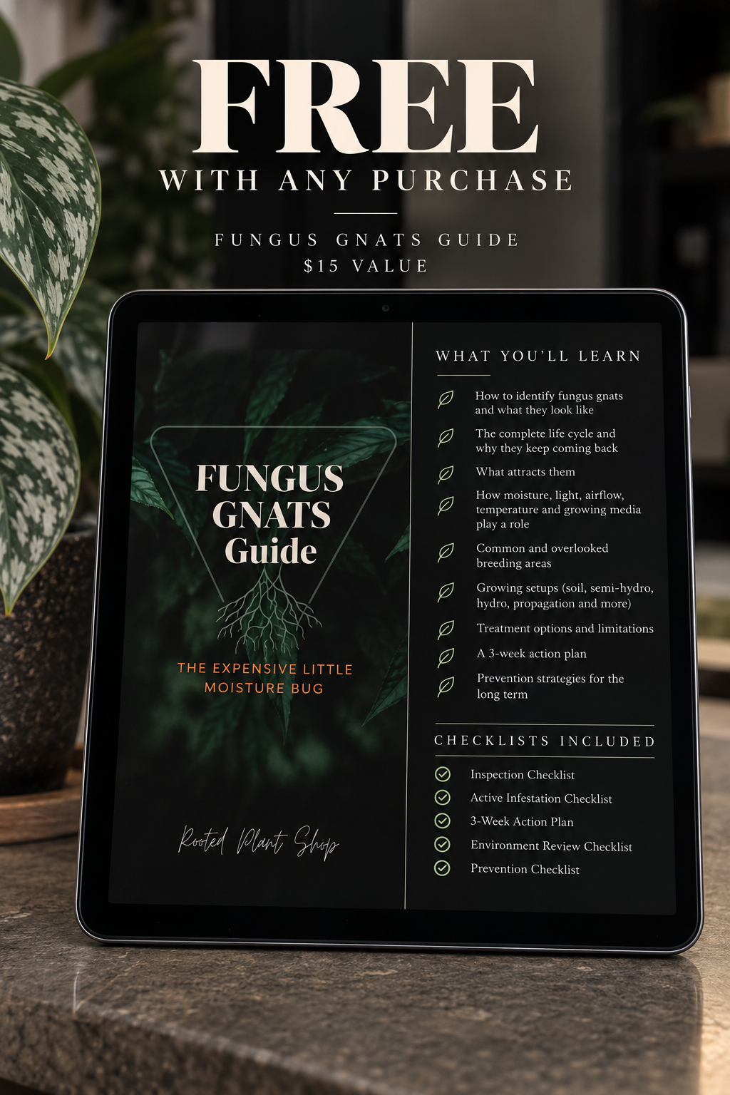Fungus Gnat Guide