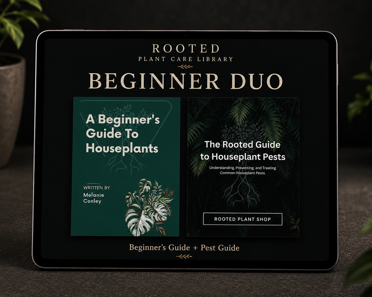 Beginner’s Duo Signs