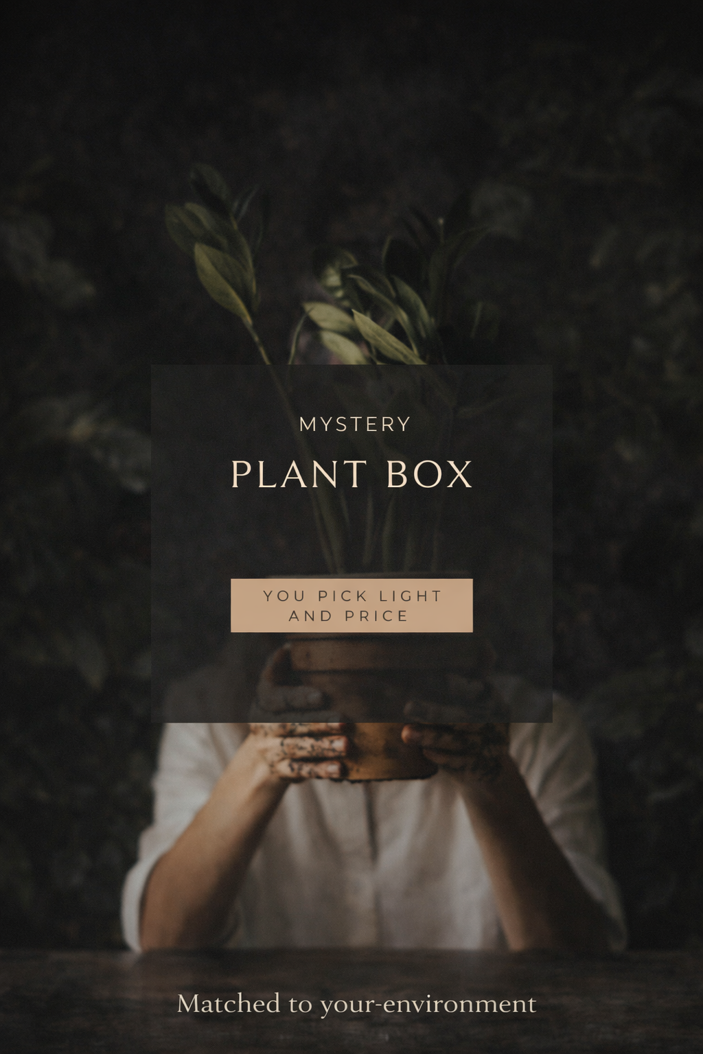 Plant bundle-North $50
