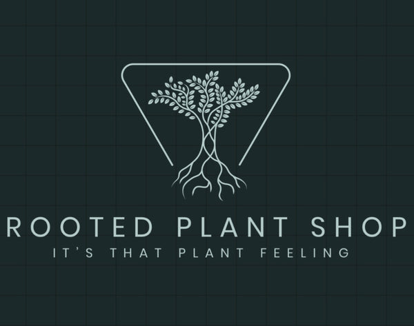 The Rooted Plant Shop 